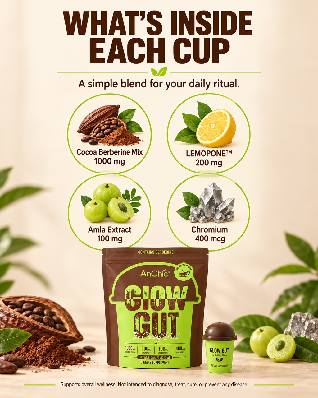 AnChic Glow Gut Cocoa Drink Mix | Swiss-Style Hot Cocoa | Supports Digestive Health & Healthy Metabolism | High Fiber for Satiety | 30 Single-Serve Packets